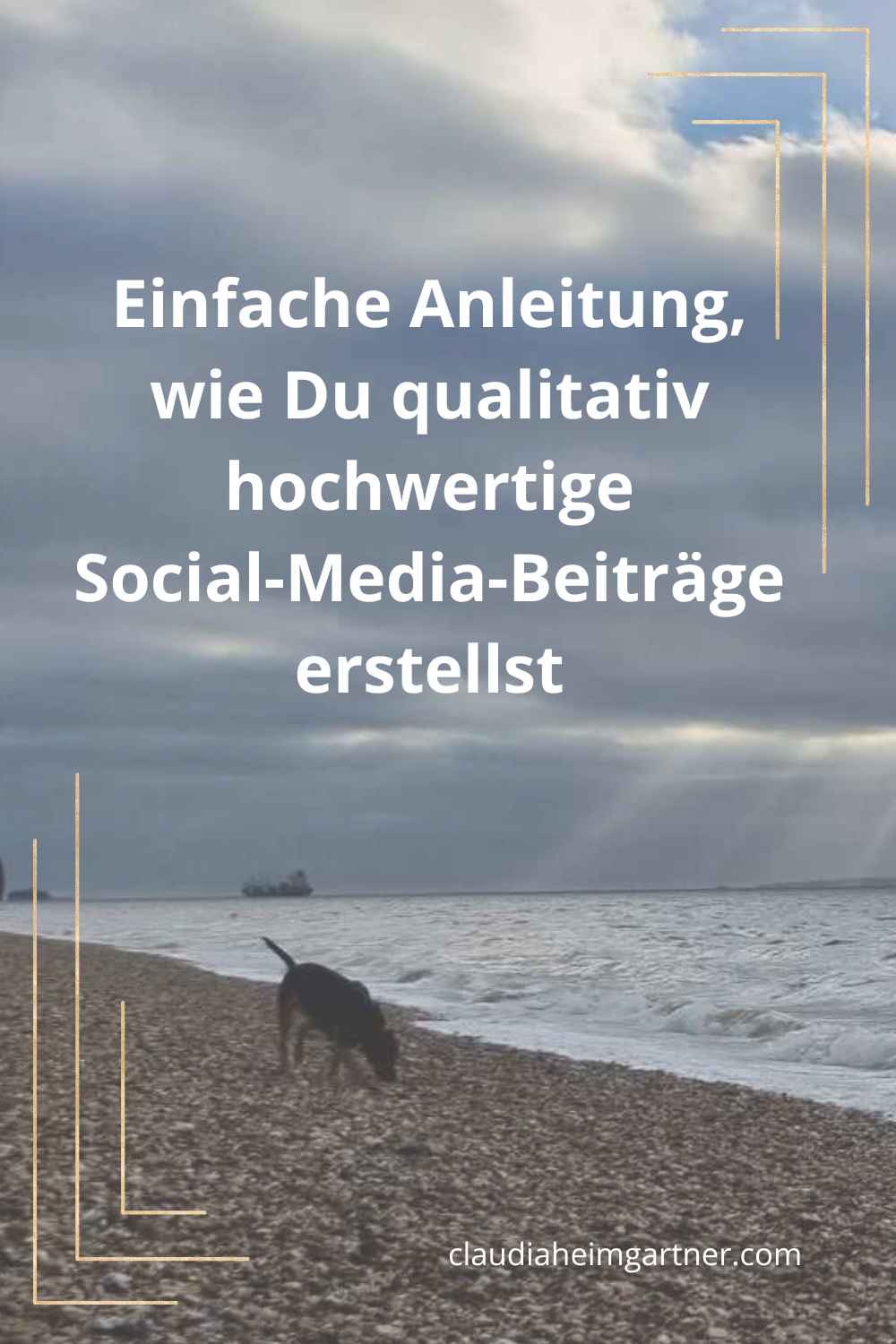 Social-Media Anleitung Pin