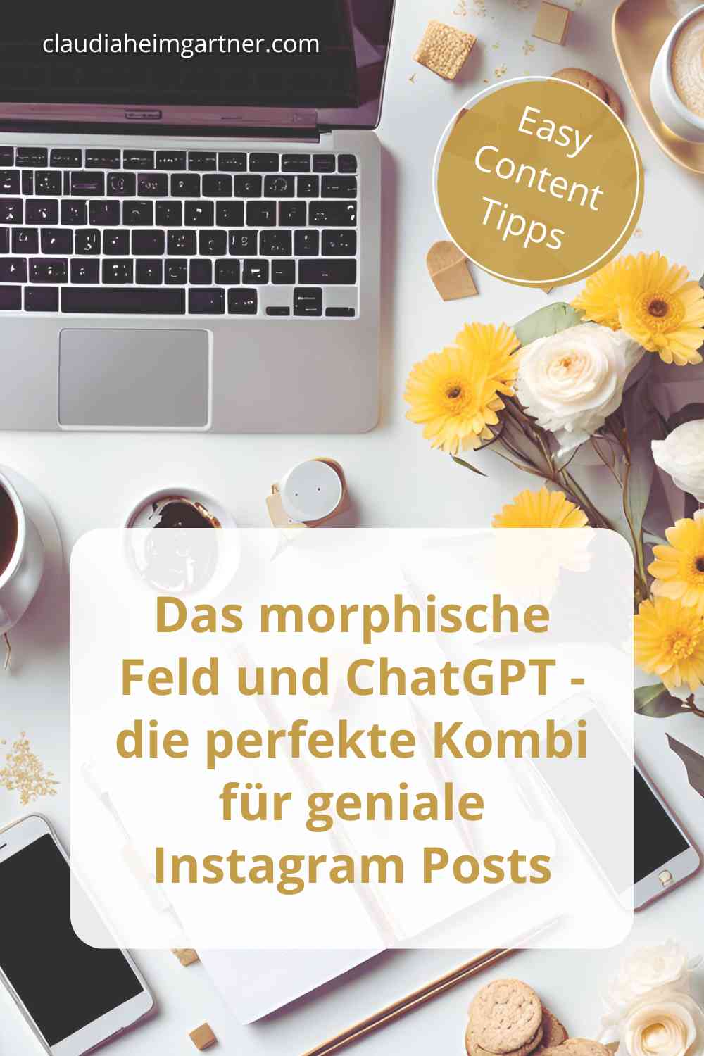 Instagram für Anfänger