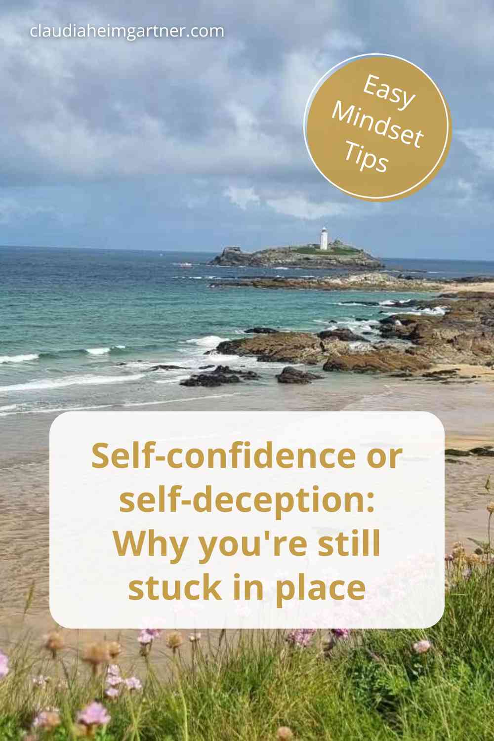 self-confidence or self-deception Pin